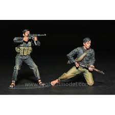 Vietcong fighters local forces