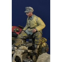 Waffen SS Soldier, Hungary, Winter 1945 (for back seat)