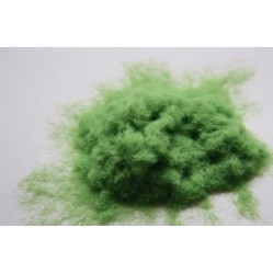 Light green grass