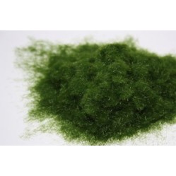 Olive green grass