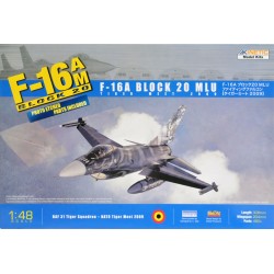 F-16A Tiger meet 2009