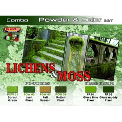 Lichens & moss