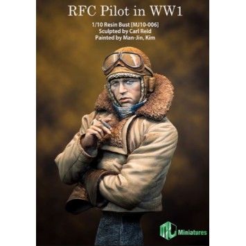 RFC Pilot in WW1