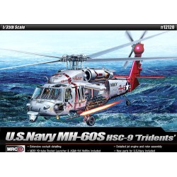 U.S.Navy MH-60S HSC-9 'Tridents'