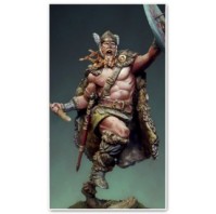 Nordic Warrior