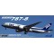 Boeing 787-8 ANA Dreamliner