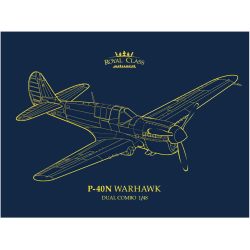 P-40N Warhawk dual combo