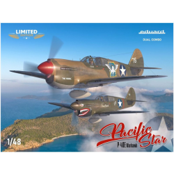Pacific Star P-40E Warhawk