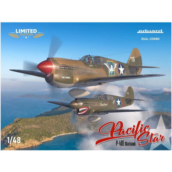 Pacific Star P-40E Warhawk