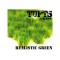 Realistic green tufts