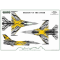 Belgian F-16 THE X TIGER decals + masks set