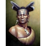 Maori Warrior
