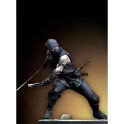 Ninja Warrior