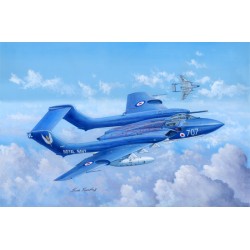 De Havilland DH110 Sea Vixen Faw2