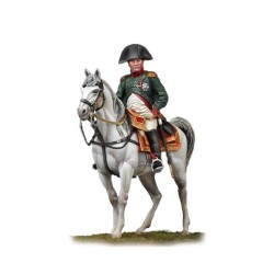 Napoleon on Horseback, Friedland 1807
