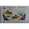 Hainan airlines