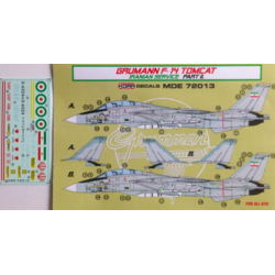 Grumann F-14 Tomcat Iranian service part II