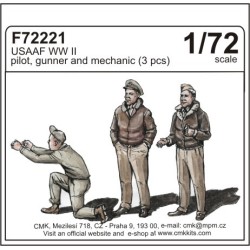 USAAF WW II pilot, gunner and mechanic