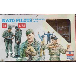 Nato Pilots and ground crew