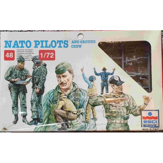 Nato Pilots and ground crew