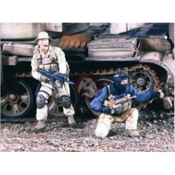 Seals in Iraq 