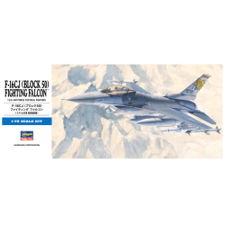 F-16CJ [Block 50] Fighting Falcon
