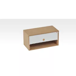 Paper Towel Module